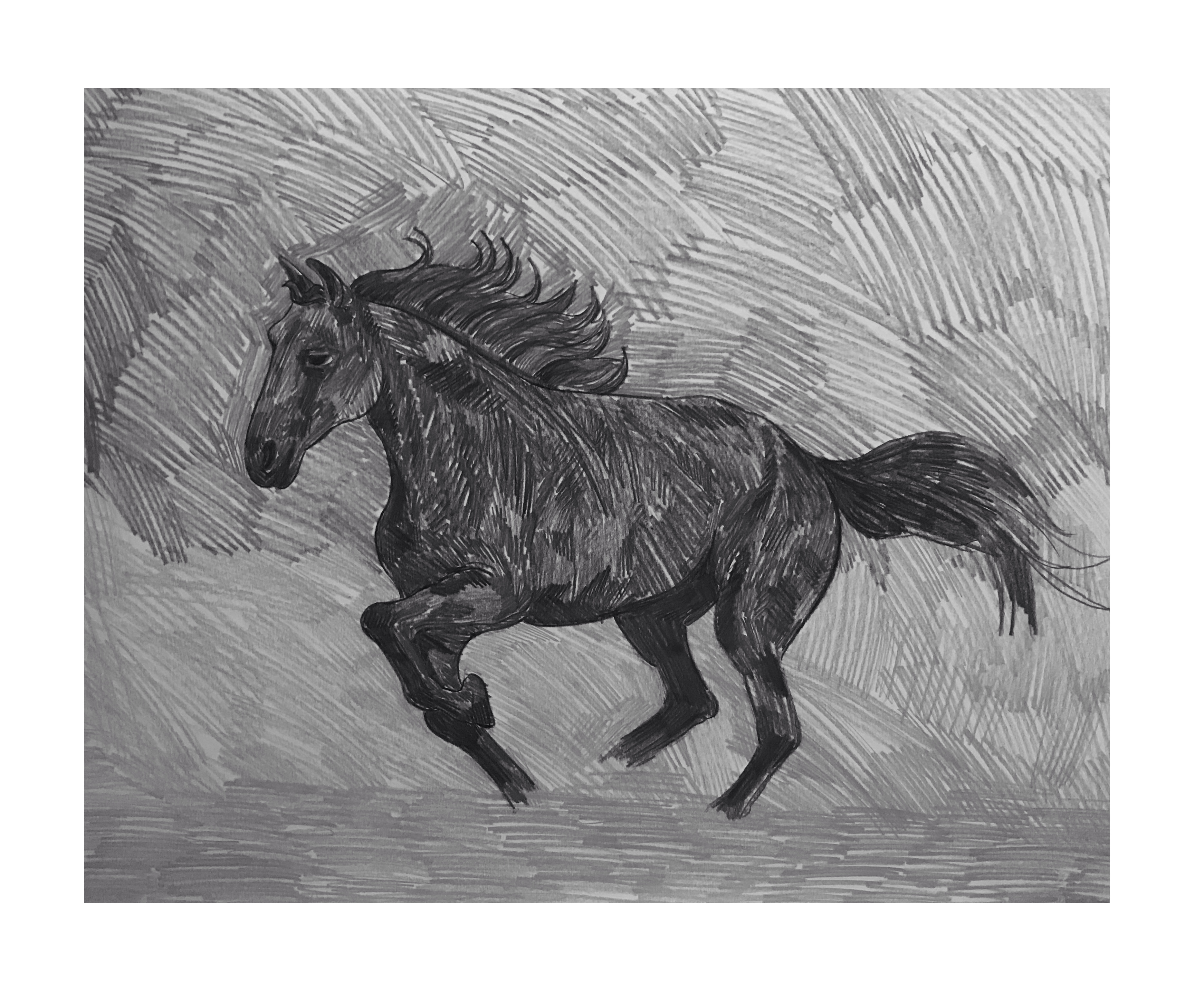 FullSizeRender 5.JPG